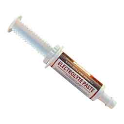 Equine Electrolyte Paste  6666